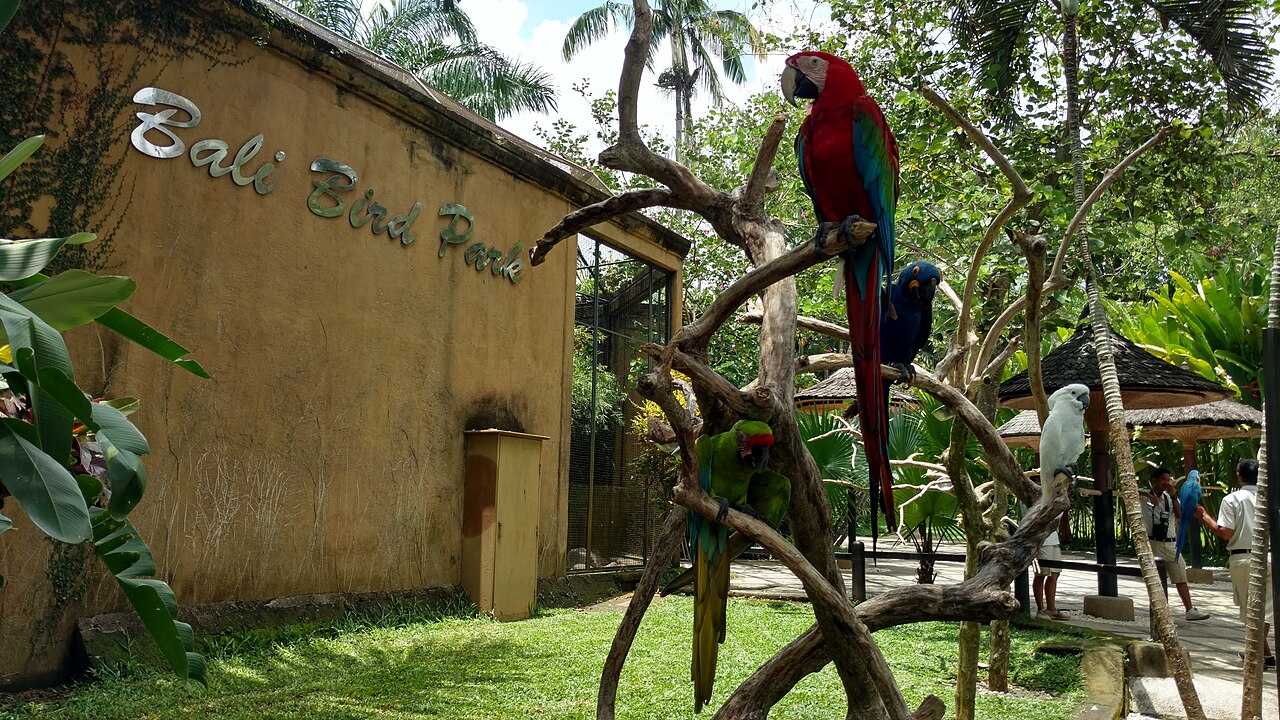 Балигийн шувууны парк